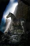 Dream Horses 028-Bob Langrish-Photographic Print