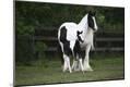 Premium Photographic Print