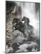 Premium Photographic Print