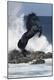 Premium Photographic Print