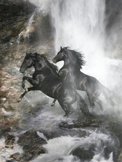 Photographic Print, , large