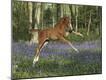 Premium Photographic Print