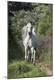 Premium Photographic Print