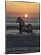 Premium Photographic Print