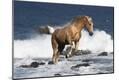 Premium Photographic Print
