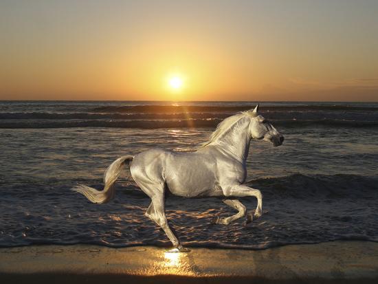 Photographic Print, , large