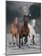 Premium Photographic Print