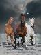 Premium Photographic Print