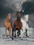 Dream Horses 089-Bob Langrish-Photographic Print