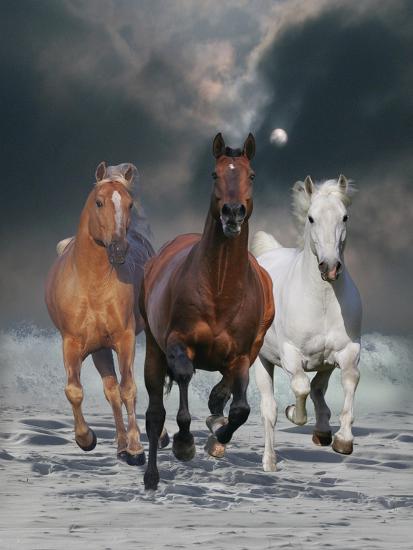 Photographic Print, , large