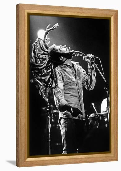 Bob Marley En Concert De Reggae Au Roxy, Los Angeles Le 26 Mai 1976-null-Framed Stretched Canvas
