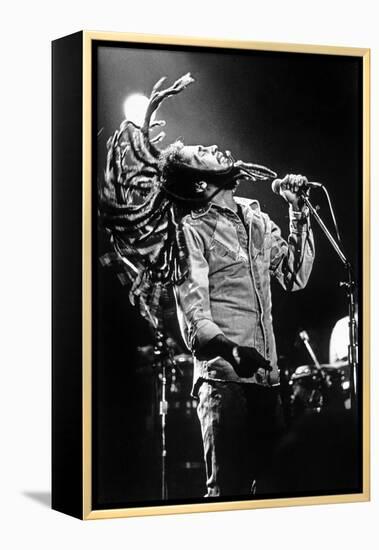 Bob Marley En Concert De Reggae Au Roxy, Los Angeles Le 26 Mai 1976-null-Framed Stretched Canvas