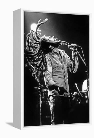 Bob Marley En Concert De Reggae Au Roxy, Los Angeles Le 26 Mai 1976-null-Framed Stretched Canvas