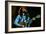 Bob Marley on Stage at Roxy Los Angeles May 26, 1976-null-Framed Photo