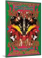 Bob Marley & Stevie Wonder-Dennis Loren-Mounted Art Print