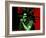 Bob Marley - Stir it Up-Emily Gray-Framed Premium Giclee Print