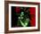 Bob Marley - Stir it Up-Emily Gray-Framed Premium Giclee Print