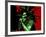 Bob Marley - Stir it Up-Emily Gray-Framed Giclee Print