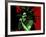 Bob Marley - Stir it Up-Emily Gray-Framed Giclee Print