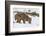 Bob the Cat-Verdon-Framed Photographic Print