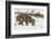 Bob the Cat-Verdon-Framed Photographic Print