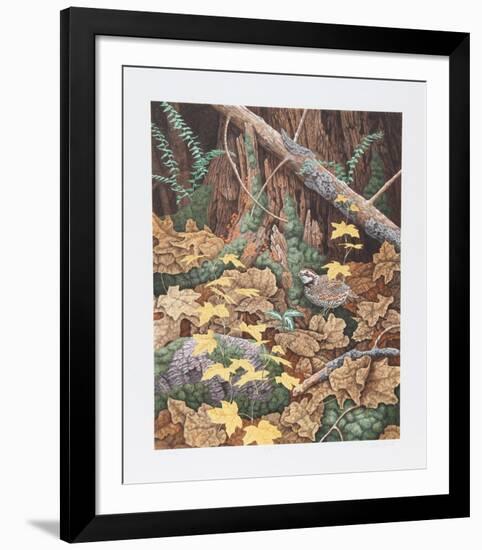 Bob White Quails I-Chris Forrest-Framed Limited Edition