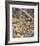 Bob White Quails I-Chris Forrest-Framed Limited Edition