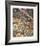 Bob White Quails I-Chris Forrest-Framed Limited Edition