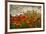 Bobbi’s Poppies-David Winston-Framed Giclee Print