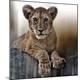 Giclee Print