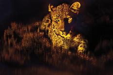 African Leopard - Stalk-Bobbie Goodrich-Giclee Print