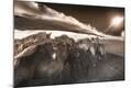 Giclee Print