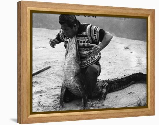 Bobby Tiger Wrestles an Alligator at Tiger's Indian Village, 1973-null-Framed Premier Image Canvas