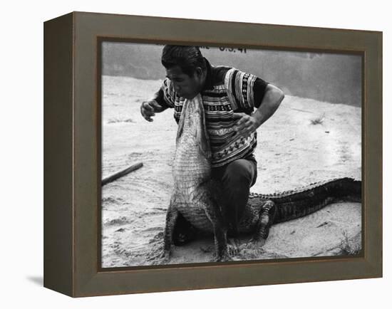 Bobby Tiger Wrestles an Alligator at Tiger's Indian Village, 1973-null-Framed Premier Image Canvas