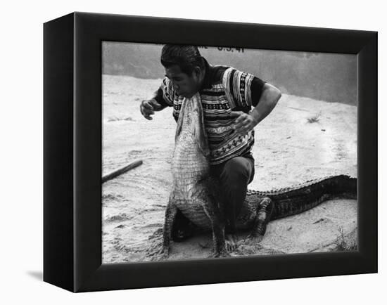 Bobby Tiger Wrestles an Alligator at Tiger's Indian Village, 1973-null-Framed Premier Image Canvas