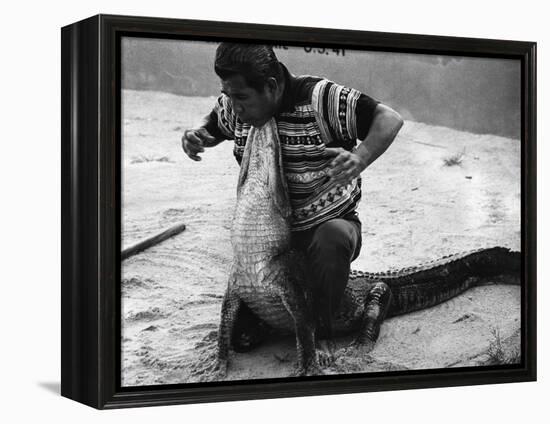 Bobby Tiger Wrestles an Alligator at Tiger's Indian Village, 1973-null-Framed Premier Image Canvas