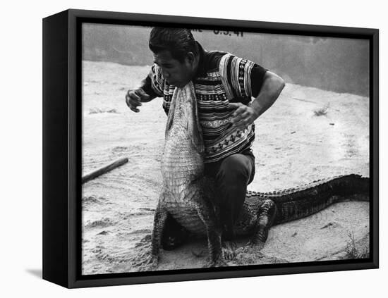 Bobby Tiger Wrestles an Alligator at Tiger's Indian Village, 1973-null-Framed Premier Image Canvas