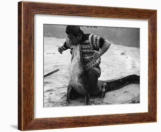 Bobby Tiger Wrestles an Alligator at Tiger's Indian Village, 1973-null-Framed Photographic Print