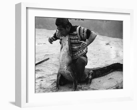 Bobby Tiger Wrestles an Alligator at Tiger's Indian Village, 1973-null-Framed Photographic Print