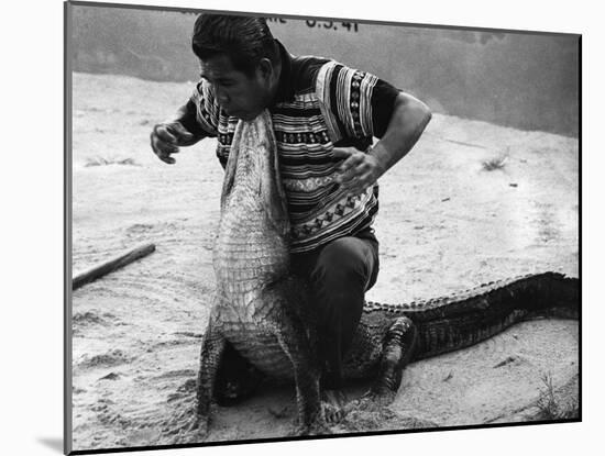 Bobby Tiger Wrestles an Alligator at Tiger's Indian Village, 1973-null-Mounted Photographic Print