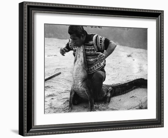 Bobby Tiger Wrestles an Alligator at Tiger's Indian Village, 1973-null-Framed Photographic Print