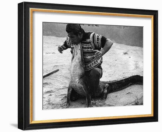 Bobby Tiger Wrestles an Alligator at Tiger's Indian Village, 1973-null-Framed Photographic Print