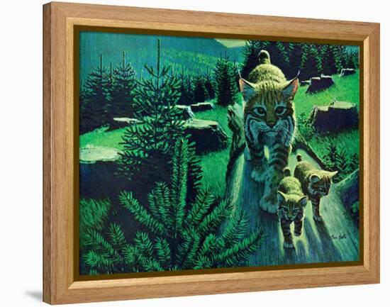 Bobcat and Kittens-Stan Galli-Framed Premier Image Canvas