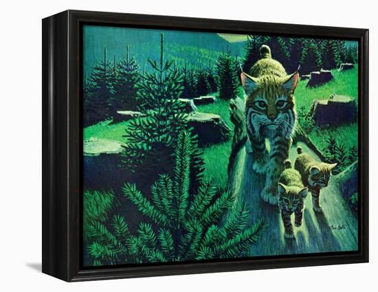 Bobcat and Kittens-Stan Galli-Framed Premier Image Canvas