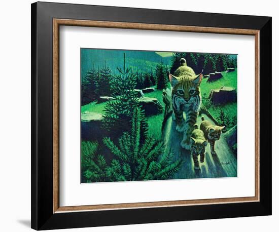 Bobcat and Kittens-Stan Galli-Framed Giclee Print