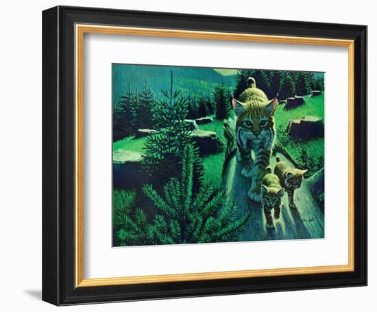 Bobcat and Kittens-Stan Galli-Framed Giclee Print