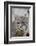 Bobcat Closeup-Hal Beral-Framed Photographic Print