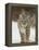 Bobcat in Snow, Near Bozeman, Montana, United States of America, North America-James Hager-Framed Premier Image Canvas