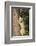 Bobcat profile, climbing tree, Montana-Yitzi Kessock-Framed Photographic Print