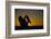 Bobcat Silhouette at Sunrise-W. Perry Conway-Framed Photographic Print